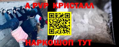 стафф Северобайкальск