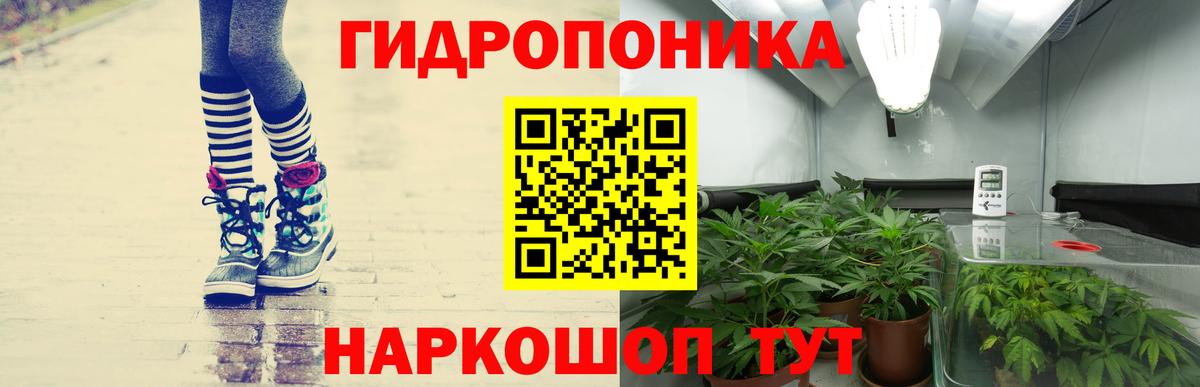 Конопля VHQ  Шишки марихуана семена  Вход с VPN  Бошки Шишки Ganja  Архангельск  Бошки Шишки White Widow 
